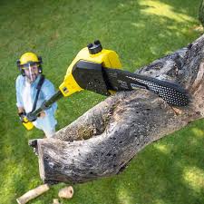 Best Lawn Watering Services  in Littlefield, TX