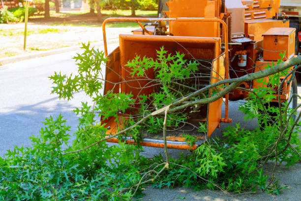 Best Artificial Turf Installation  in Littlefield, TX