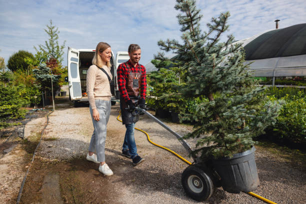 Lawn Maintenance Plans in Littlefield, TX
